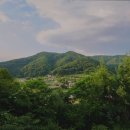 스테이 누누 이미지