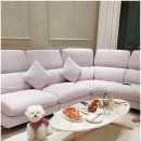 오션나비드풀빌라 이미지