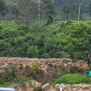 애견동반 밀양테마수영장 이미지