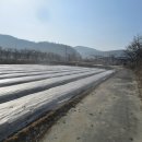 용은1리경로당 이미지