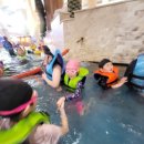 용인대 블랙벨트 태권도 이미지