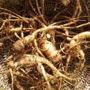 전호농장 이미지