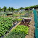 수겸농장 이미지