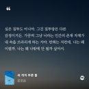 세개의 여유 | 은모든 『세 개의 푸른 돌』 후기