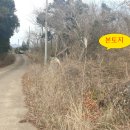 제주사랑공인중개사사무소 이미지