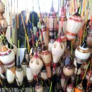 고골낚시터 이미지