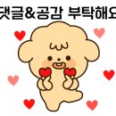 방배목장 강릉점 이미지