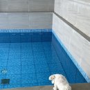 위클라드펜션