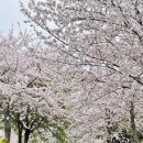 물소낭밧작은집 이미지