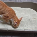 모래들푸드 이미지