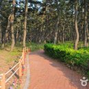 연곡해변 입구 이미지