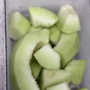 일산종로동물병원 이미지