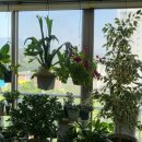 현주공인중개사사무소 이미지