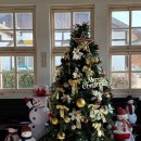 곡성 신기 | 곡성 증기기관차 아이랑 함께 체험 이용 후기