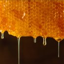 꿀물의 효능과 부작용 이미지
