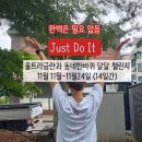 금란자연 | 파워 울트라금란님 큐리어스 어울림 동네한바퀴 챌린지