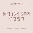 블백데이 | 블백 16기 5주 차 주간일지