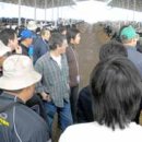 선진목장 이미지