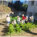 늘푸른나무어린이집 이미지
