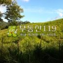 대불리목장 이미지