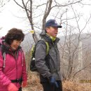 호호 닭 농장 이미지