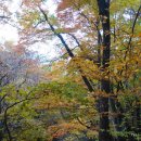 백무동주차장 이미지