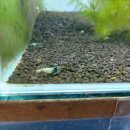 용궁농장(2) 이미지