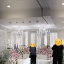 [강남 아르베 웨딩] 당일 계약 후기