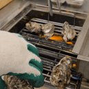 서해펜션 | 보령 천북 굴단지 숙소 펜션 서해돌꽃펜션 목성 후기