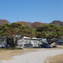 대오푸드홀딩스 이미지