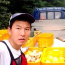 길거리농부 - 고성군 송학로 168 | 길거리농부