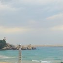 증산~삼척해변 이미지
