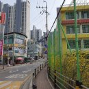 용인대 수영 태권도장 이미지