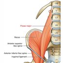 유레디 PT&PILATES 이미지