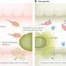 스마트장 이미지