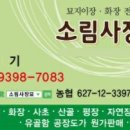 소림사장묘