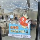 잉어 - 남양주시 수레로 4 | 티월드 포켓몬 메가 페스타 잉어 프로모 카드 포켓몬 키링까지 수령 후기