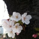 창원대로 이미지