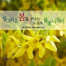 에스제이진