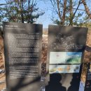 관양동 청동기유적 이미지