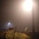 청도천10 이미지