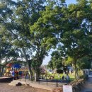 어도초어음분교장 이미지