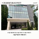빅트리 | 시흥 아이와 가볼 만한 카페 추천｜빅트리 카페 야외정원 후기