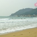 뉴송정펜션민박