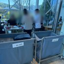 카페라임 | 캠핑분위기 가능한 용인베이커리카페 대형카페 라임그라스 방문후기