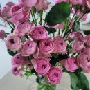 인지공판장 이미지