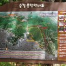 장미원 (산림욕장) 이미지