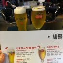 볼때리는집 | 수완지구술집 다양한세계맥주 생맥주 맛집 ” 씨즐펍 “