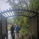 경주 무장봉 이미지