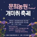 문희농장 | 문경 가볼 만한 곳, 개미취꽃이 흐드러진 <문희농원> 25년 9월 22일 현재 개화 상황